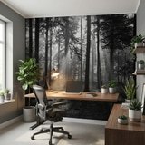 Poster xxl: For&ecirc;t en noir et blanc 9