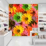 Poster xxl: Fleurs Pop 21