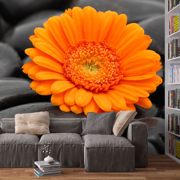 Poster xxl: Gerbera orange 0