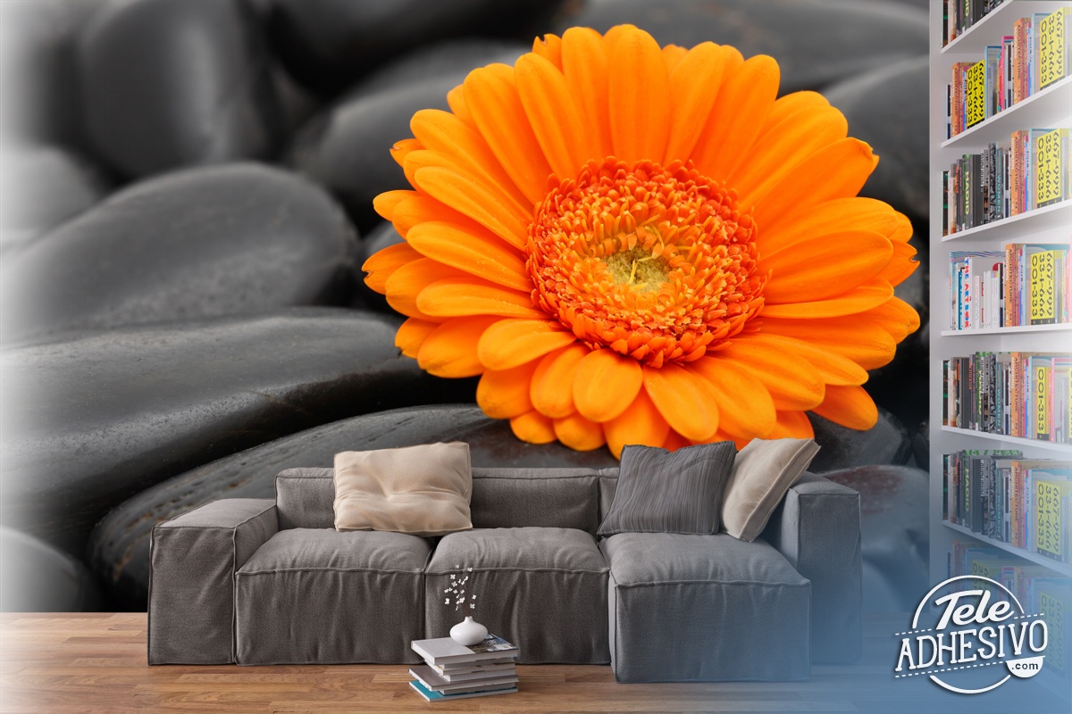 Poster xxl: Gerbera orange