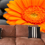 Poster xxl: Gerbera orange 5