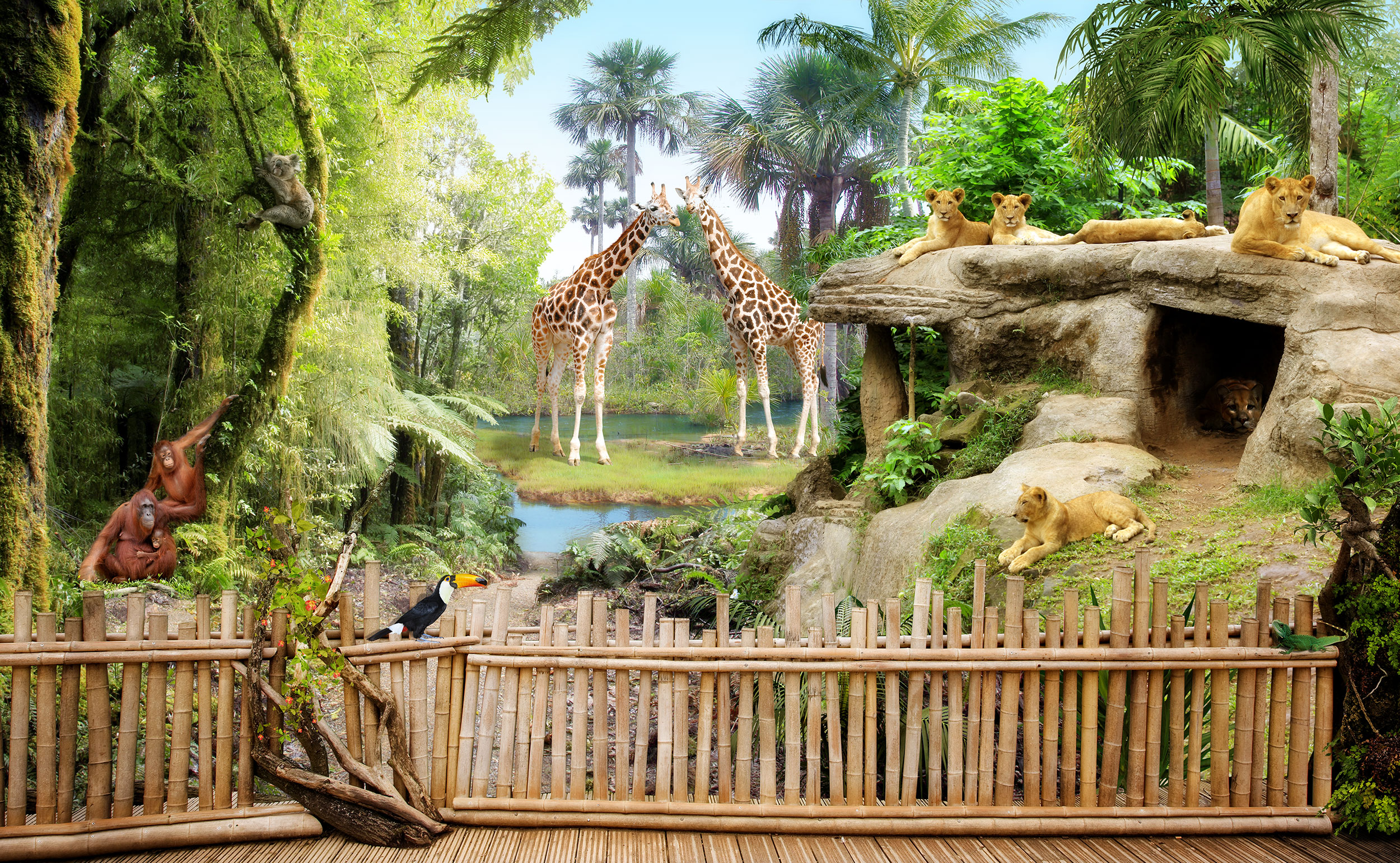 Poster xxl: Animaux de la for&ecirc;t tropicale