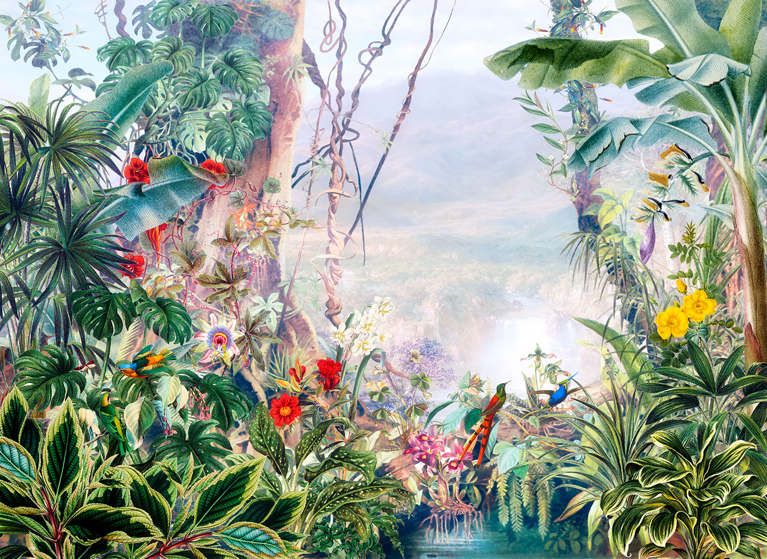 Poster xxl: For&ecirc;t tropicale