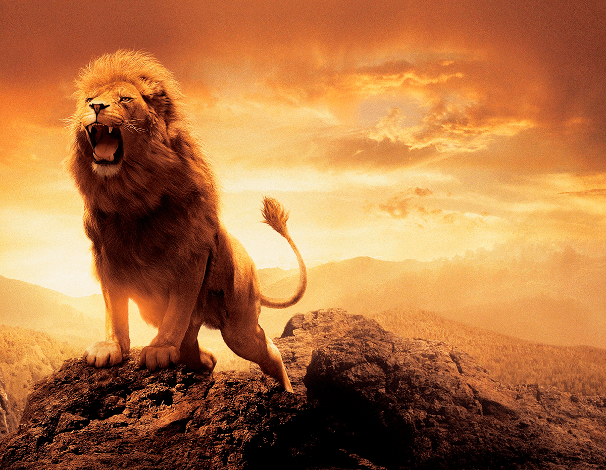 Poster xxl: le roi Lion
