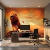 Poster xxl: le roi Lion 4