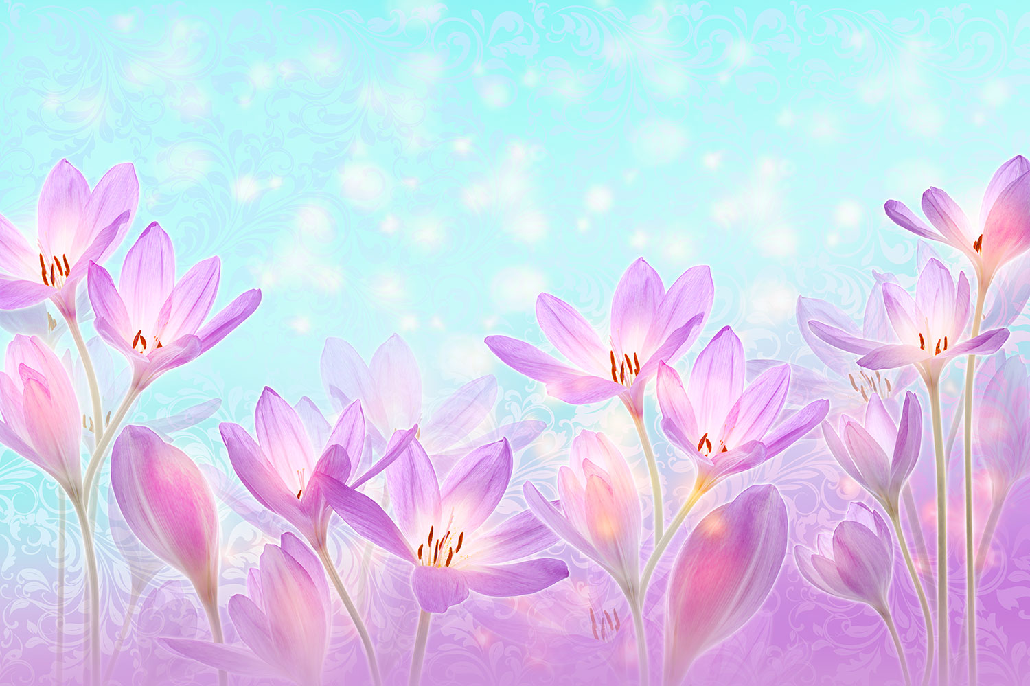 Poster xxl: Fleurs de Violettes Peintes
