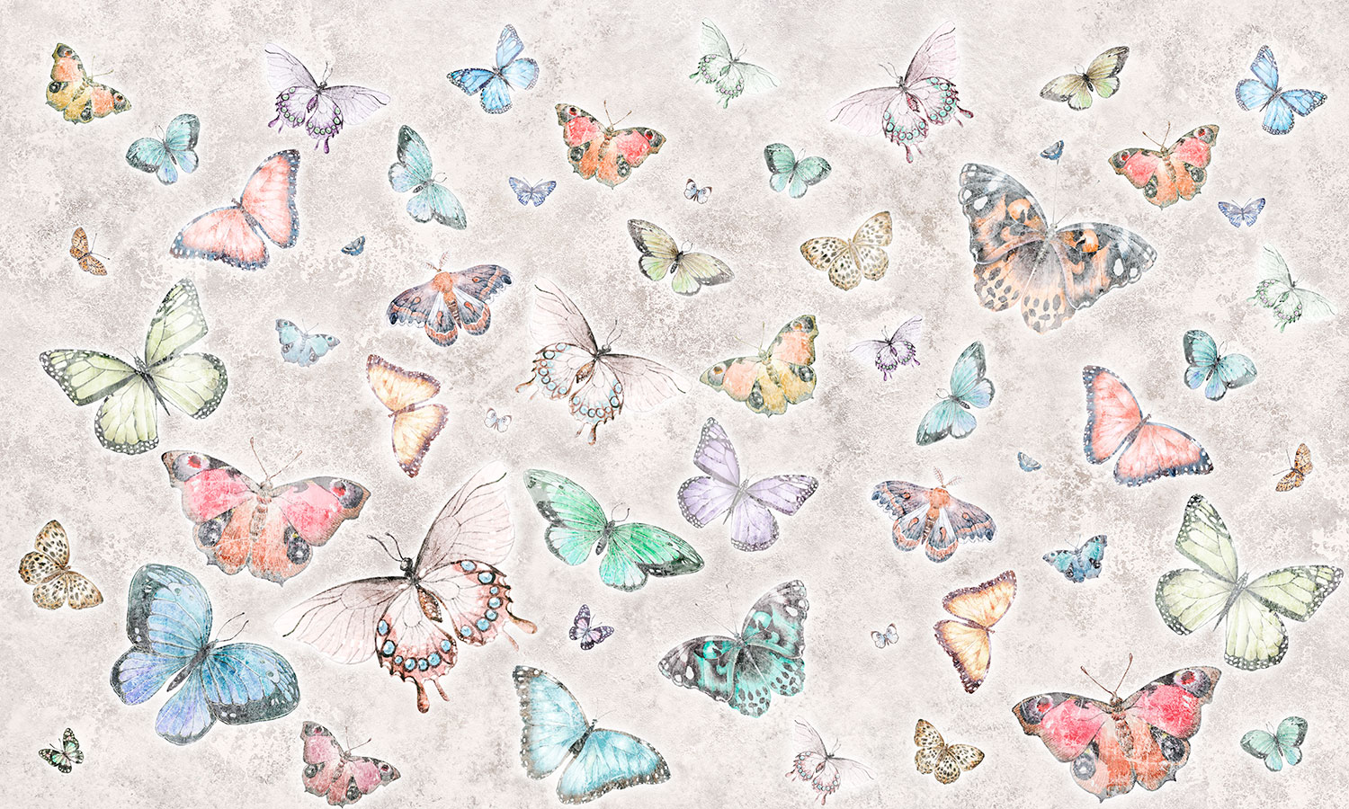 Poster xxl: Collage de Papillons