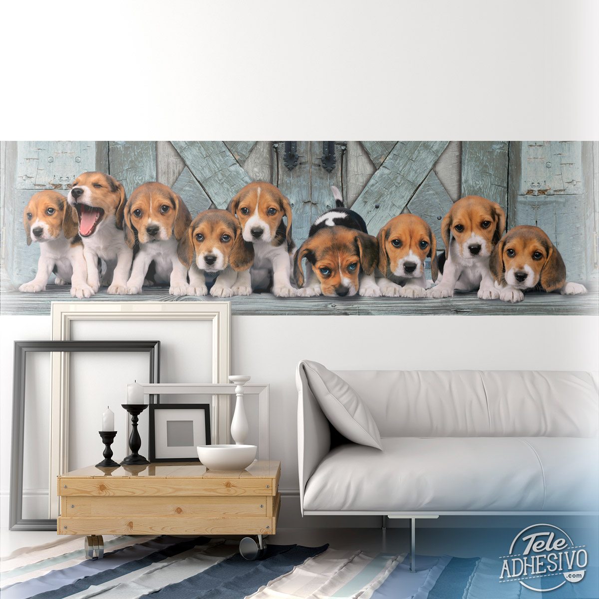 Poster xxl: Chiots beagles