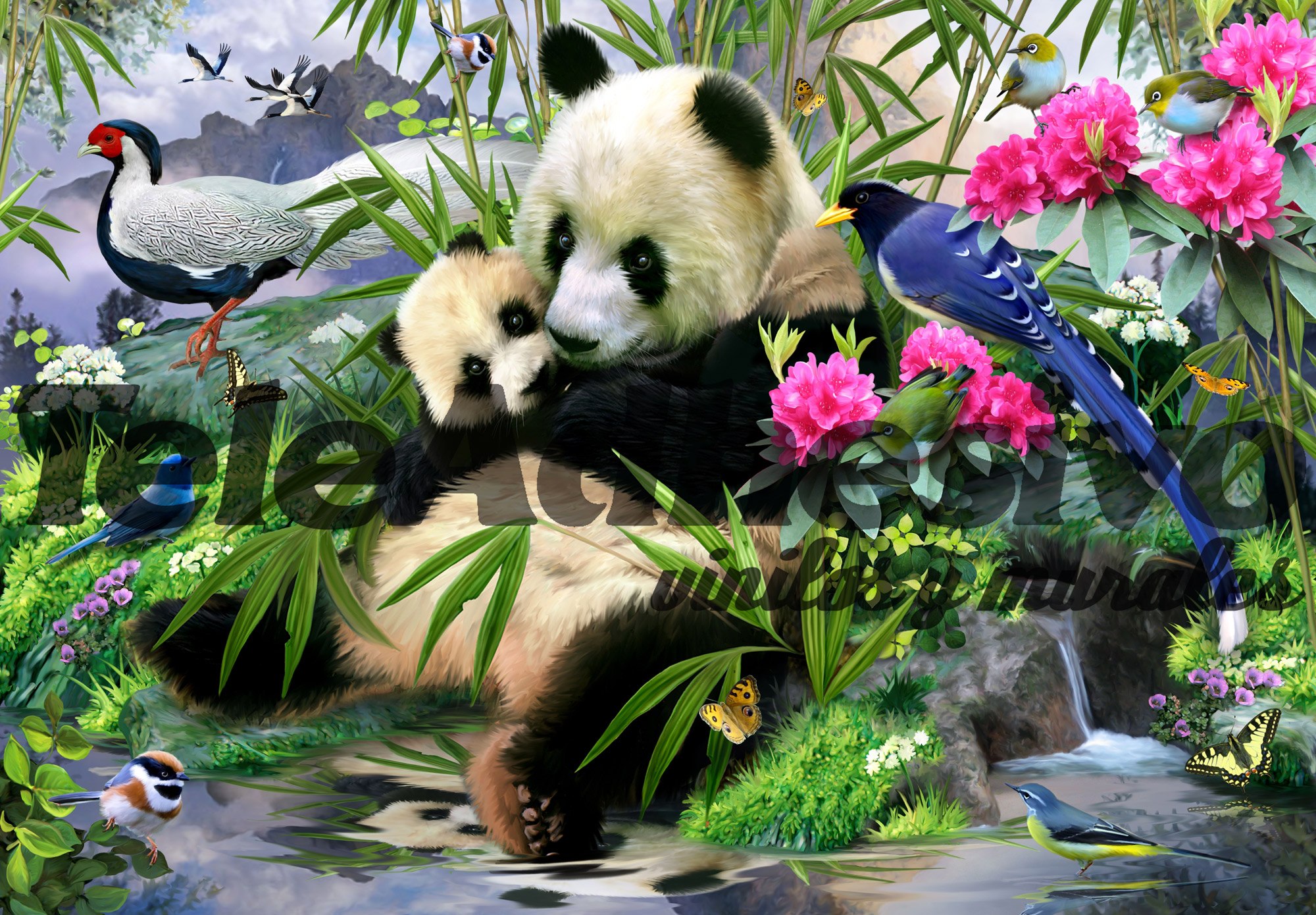 Poster xxl: Ours panda