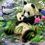 Poster xxl: Ours panda 2