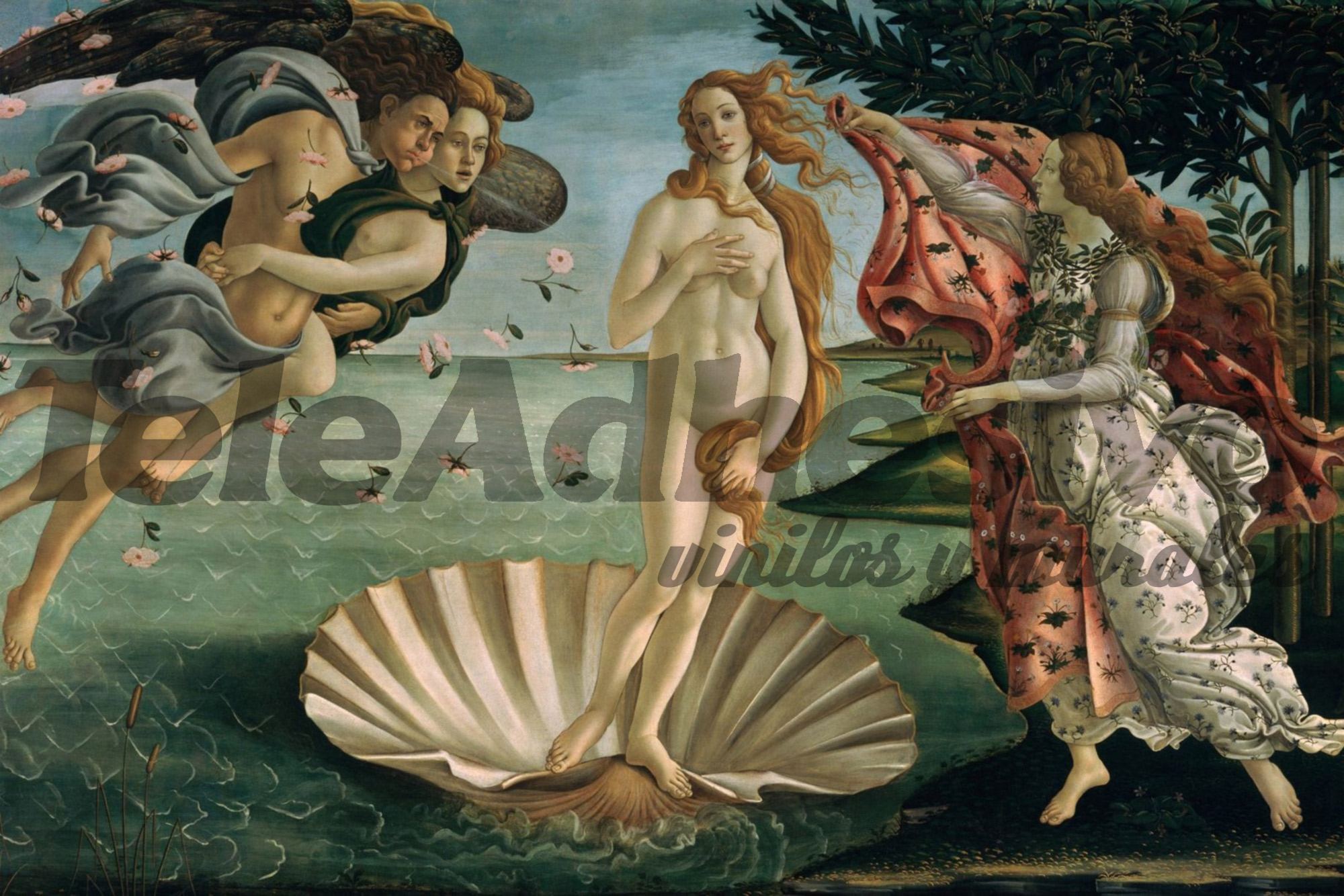 Poster xxl: Naissance de Vénus, Botticelli