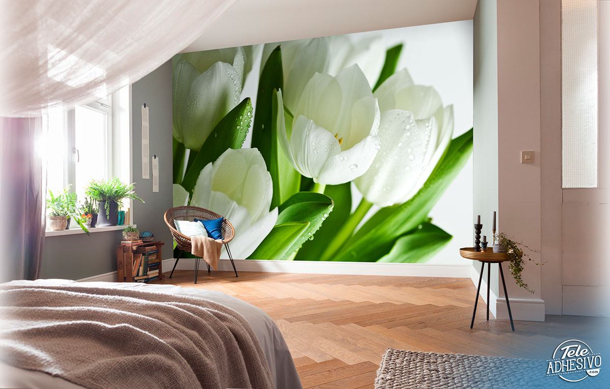 Poster xxl: Tulipes blanches