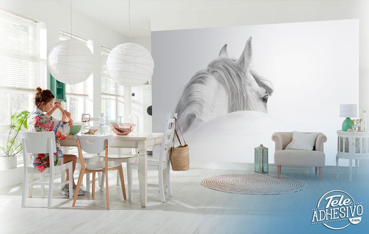 Poster xxl: Cheval blanc