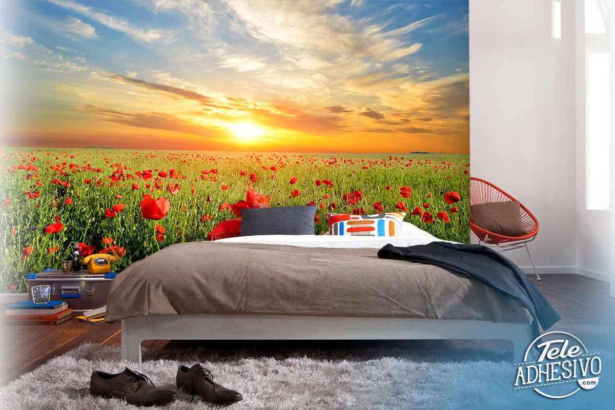 Poster xxl: Coquelicots au coucher du soleil