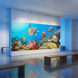 Poster xxl: Panoramique sous la mer 10