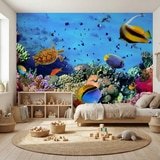Poster xxl: Couleurs sous la mer 3