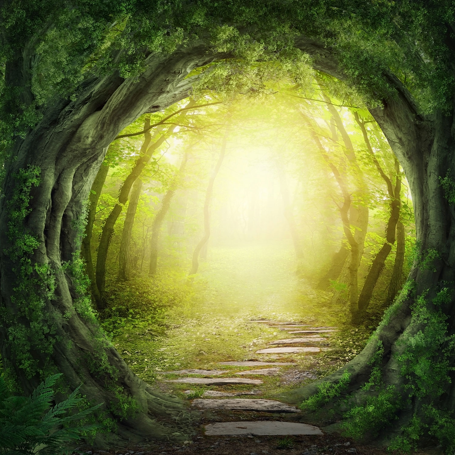 Poster xxl: Les for&ecirc;ts perdues