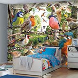 Poster xxl: Catalogue Oiseaux 2