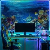 Poster xxl: Tortue dans les courants marins 9