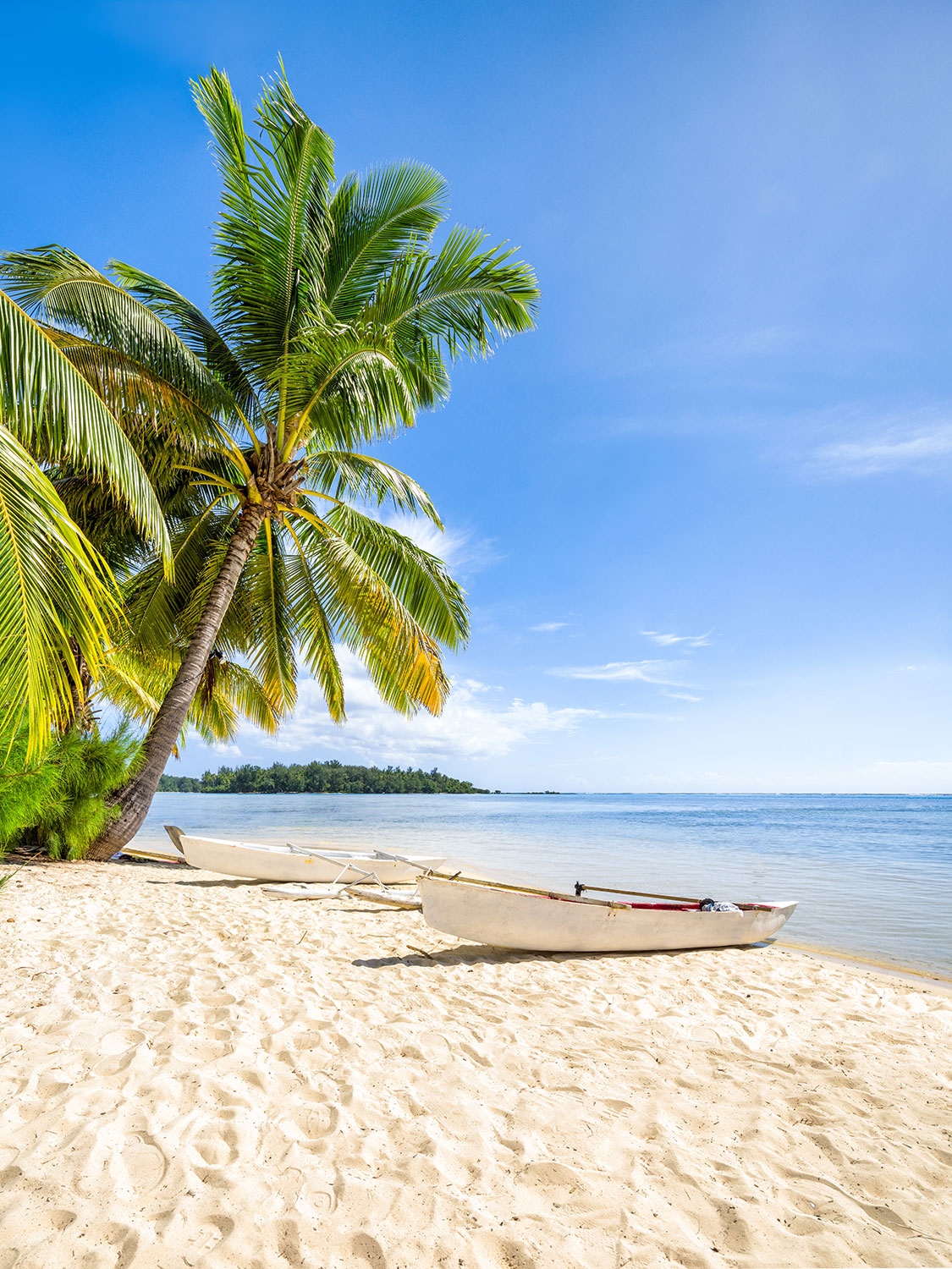 Poster xxl: Cano&euml;s dans les Cara&iuml;bes