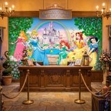 Poster xxl: Princesses et ch&acirc;teau Disney 13