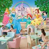 Poster xxl: Princesses et ch&acirc;teau Disney 16