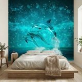 Poster xxl: Dauphins et constellations 11