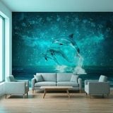 Poster xxl: Dauphins et constellations 12