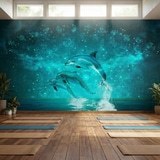 Poster xxl: Dauphins et constellations 13