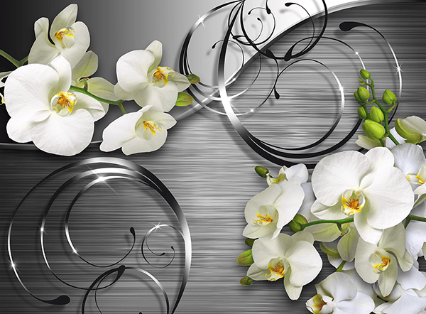 Poster xxl: Orchidées sur métal