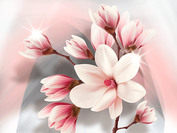 Poster xxl: Magnolias brillants