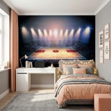 Poster xxl: Terrain de basket-ball 12