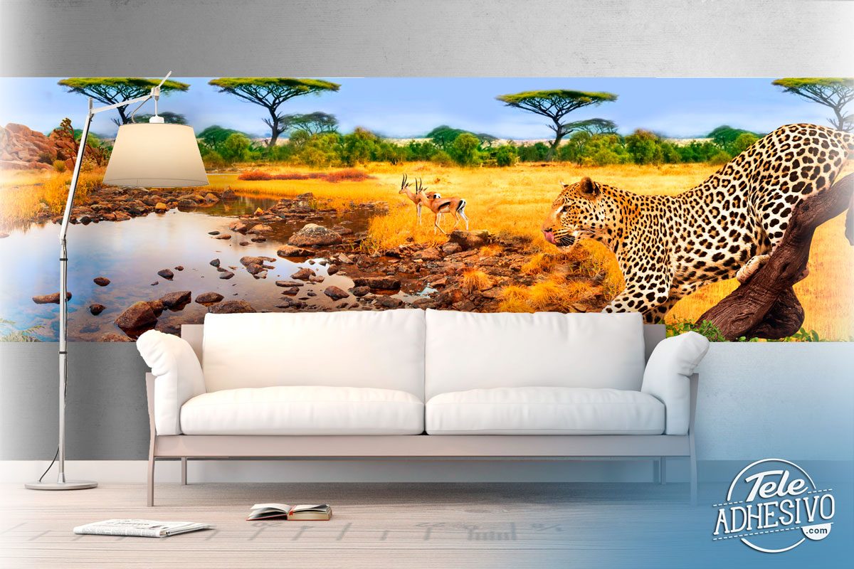 Poster xxl: Les léopards au repos