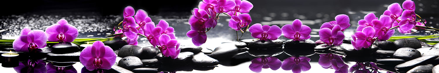 Poster xxl: Orchid&eacute;es pourpres
