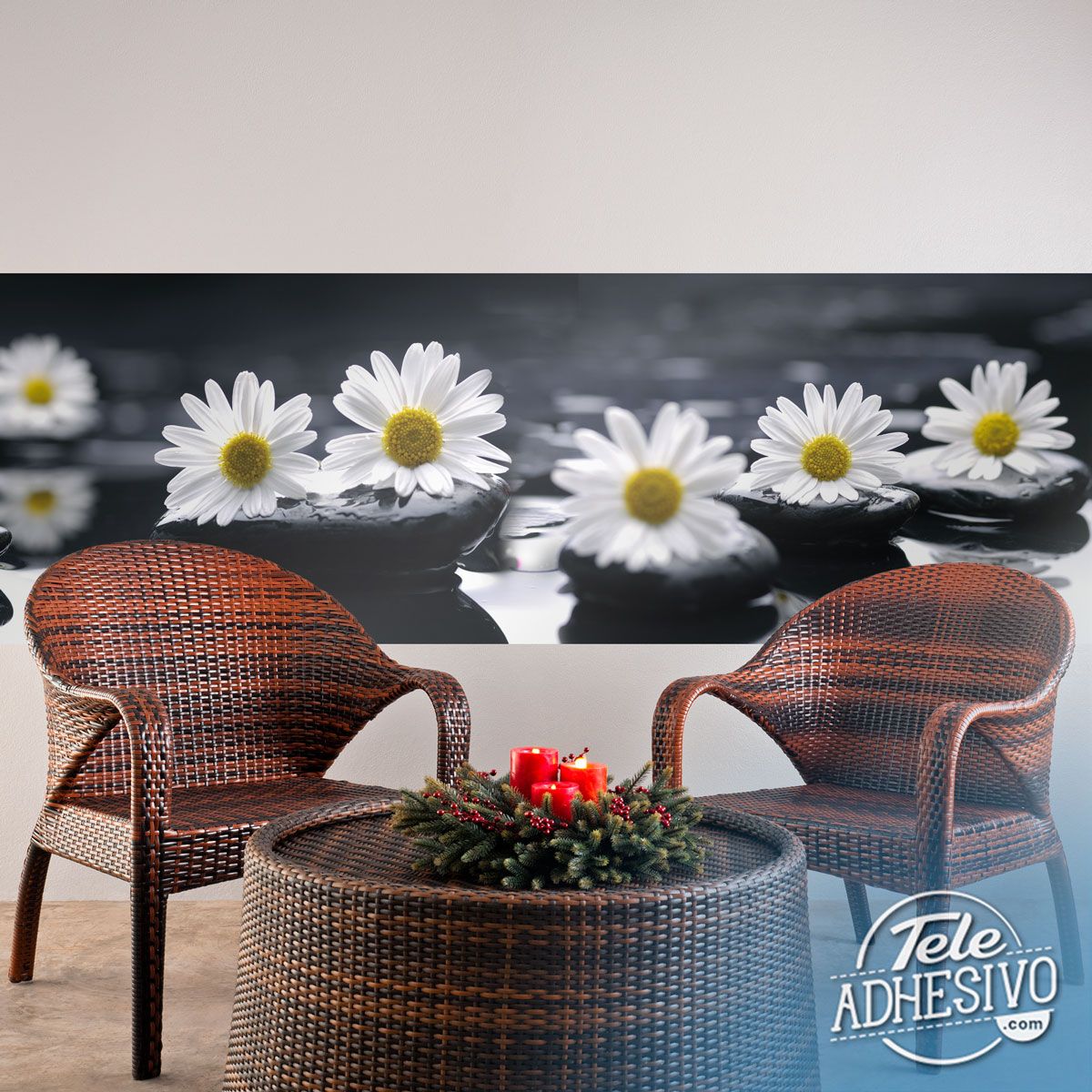 Poster xxl: Marguerites sur pierres noires