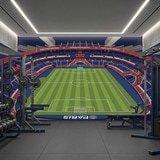 Poster xxl: Poster XXL Illustration Stade Parc des Princes 19
