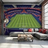 Poster xxl: Poster XXL Illustration Stade Parc des Princes 7