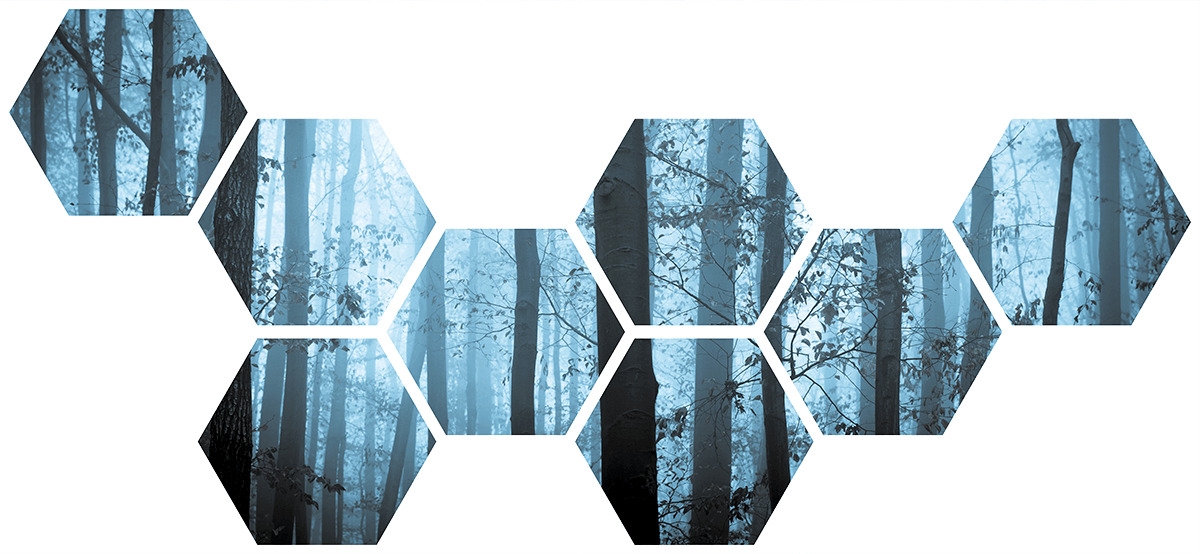 Stickers muraux: Kit Géométrique Forêt bleue