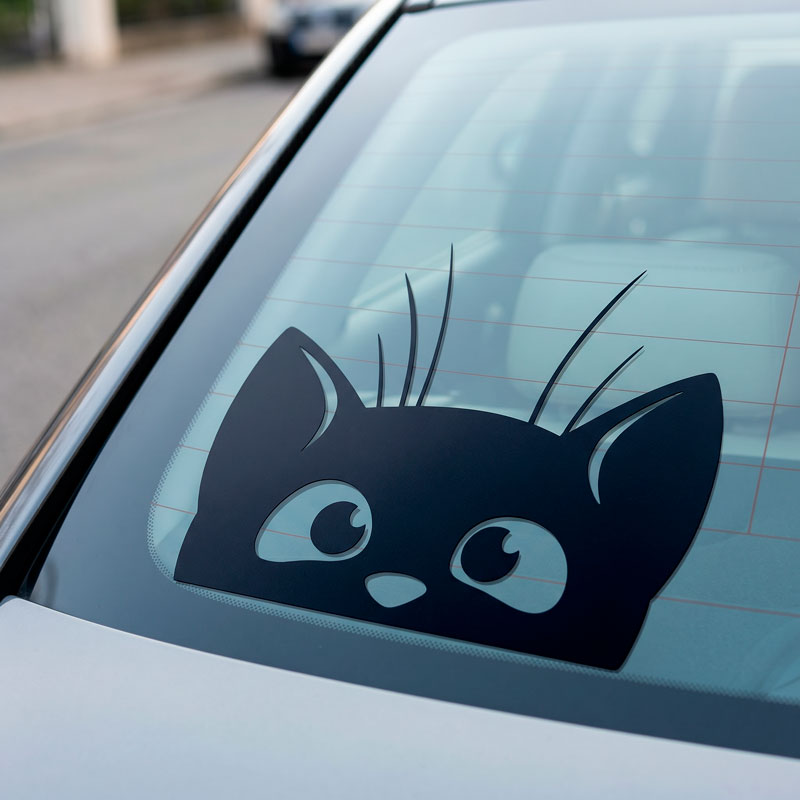 Chat Coucou 2/3