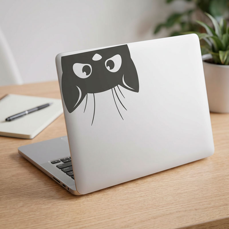 Chat Coucou 3/3