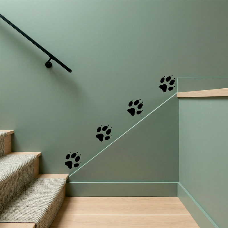 Kit 4 pistes pour chiens 9/9