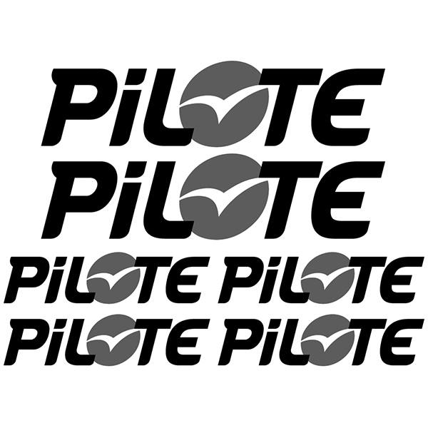 Stickers camping-car: Kit 6X Pilote