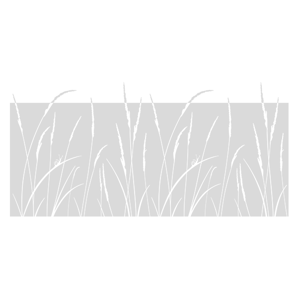 Stickers muraux: Épis de blé pour fenêtre