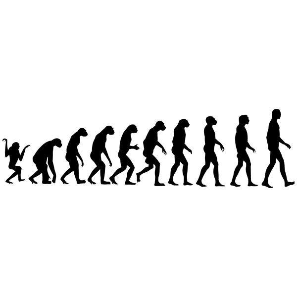 Stickers muraux: Evolution