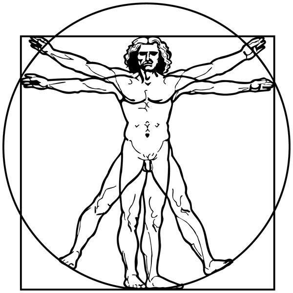 Stickers muraux: Homme de Vitruve, Da Vinci