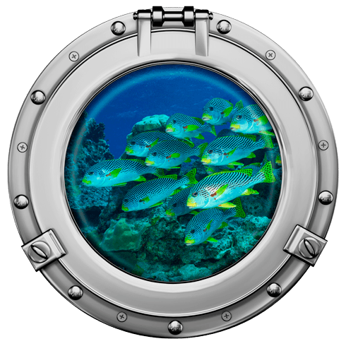Stickers muraux: Banc de poisson 1