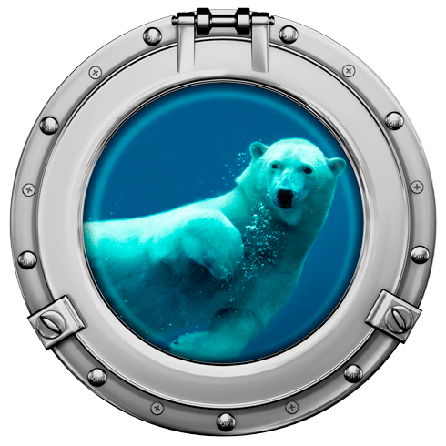 Stickers muraux: Nage d'un ours polaire