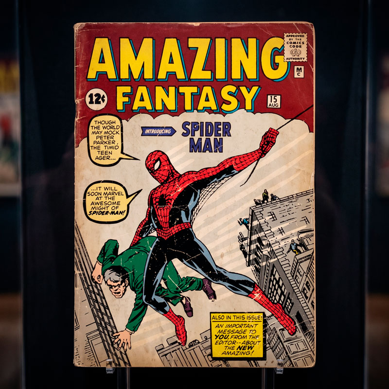 Spiderman Amazing 6/6