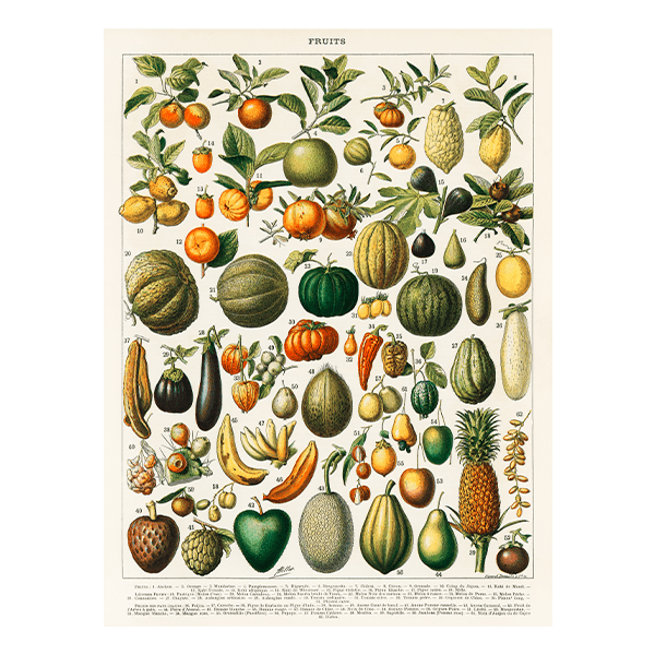 Stickers muraux: Les Types de Fruits