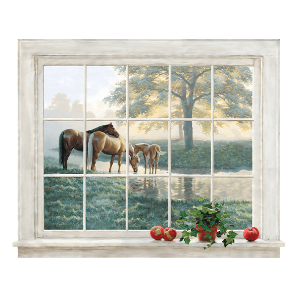 Stickers muraux: Fenêtre sur les chevaux